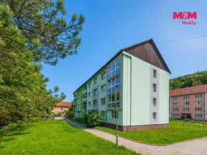 Prodej bytu 3+1, Kraslice, Družstevní, 62 m2