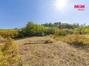 Prodej zahrady, Židlochovice, 3718 m2