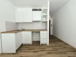 Pronájem bytu 1+kk, Chlumec, Zákoutí, 19 m2
