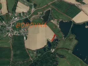 Dražba pole, Borovná, 1225 m2