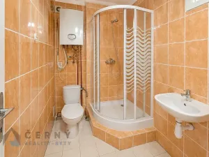Pronájem bytu 1+1, Liberec, Ječná, 39 m2