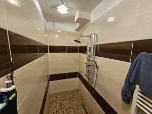 Prodej rodinného domu, Vyskytná nad Jihlavou, 200 m2