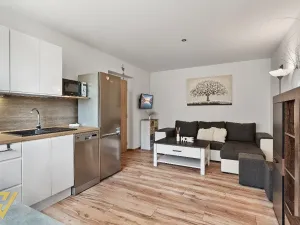 Prodej bytu 2+kk, Frýdlant, Čapkova, 46 m2