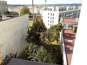 Pronájem bytu 1+1, Praha - Žižkov, Vlkova, 35 m2