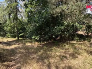 Prodej pole, Úštěk, 8460 m2