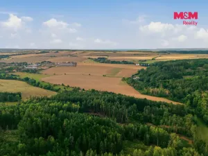 Prodej lesa, Břežany, 5988 m2