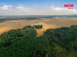 Prodej lesa, Břežany, 4230 m2
