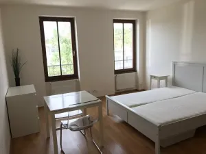 Prodej bytu 1+kk, Brno, Křížkovského, 30 m2
