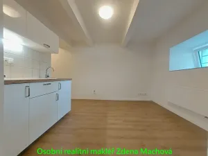 Pronájem kanceláře, Praha - Krč, U krčského nádraží, 52 m2