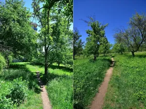 Pronájem bytu 2+1, Chlumec, Stradovská, 65 m2