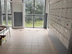 Pronájem bytu 1+kk, Liberec, Hedvábná, 47 m2