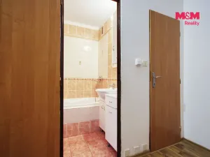 Pronájem bytu 1+1, Plasy, Potoční, 42 m2