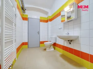 Prodej obchodního prostoru, Plzeň - Jižní Předměstí, Koperníkova, 46 m2