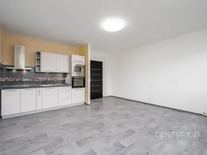 Prodej bytu 1+kk, Ústí nad Labem, Obvodová, 32 m2