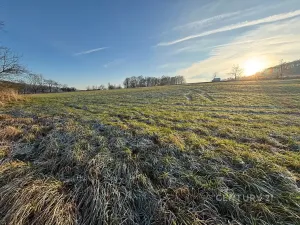 Prodej komerčního pozemku, Velká Bukovina, 20188 m2