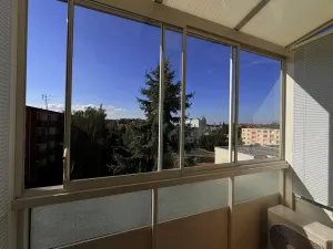 Pronájem bytu 1+1, Židlochovice, sídl. Družba, 35 m2