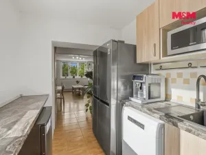 Prodej bytu 3+1, Kněževes, Štrosova, 55 m2