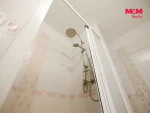 Prodej bytu 3+1, Kněževes, Štrosova, 55 m2