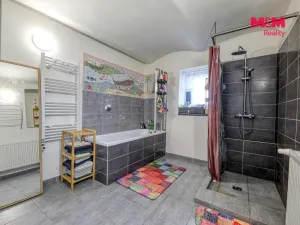 Prodej rodinného domu, Staré Sedlo, Sokolovská, 200 m2
