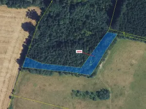 Dražba lesa, Městečko Trnávka, 2241 m2