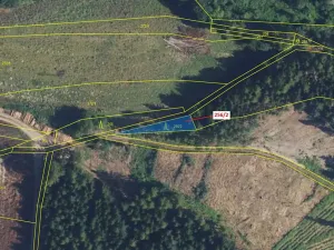 Dražba lesa, Bělá u Jevíčka, 198 m2