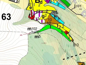 Dražba lesa, Bělá u Jevíčka, 498 m2