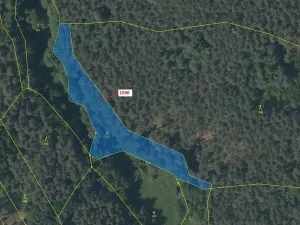 Dražba pozemku, Slavče, 3077 m2