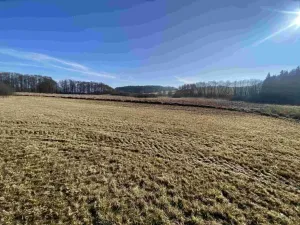 Dražba louky, Kváskovice, 10470 m2