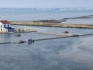 Prodej bytu 4+kk, San Pedro del Pinatar, Murcia, Španělsko, 133 m2