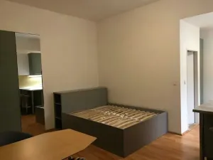 Pronájem bytu 1+kk, Brno, Koliště, 32 m2