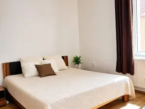 Pronájem bytu 2+kk, Plzeň, Čechova, 48 m2