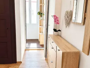 Pronájem bytu 2+kk, Plzeň, Čechova, 48 m2