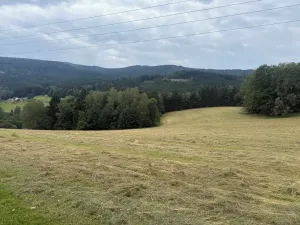 Prodej louky, Hamry, 84928 m2