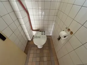 Prodej rodinného domu, Dívčice, 200 m2