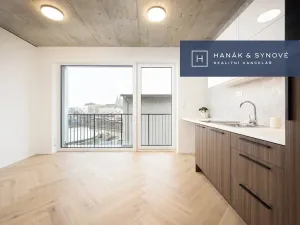 Pronájem bytu 1+kk, Brno, Koliště, 23 m2