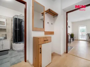 Prodej bytu 1+1, Loučná nad Desnou - Kociánov, 42 m2