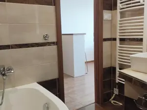 Pronájem bytu 1+kk, Plzeň, Sokolovská, 35 m2