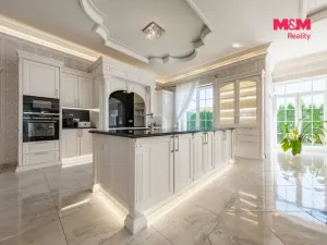 Prodej rodinného domu, Šestajovice, U Váhy, 356 m2