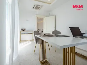 Prodej rodinného domu, Šestajovice, U Váhy, 356 m2