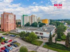 Pronájem kanceláře, Orlová - Lutyně, F. S. Tůmy, 92 m2