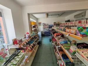 Pronájem obchodního prostoru, Prostějov, Dvořákova, 250 m2