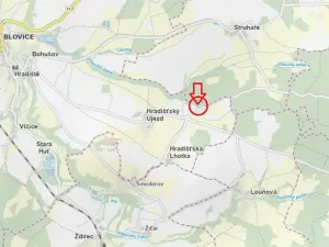Prodej lesa, Blovice, 1243 m2