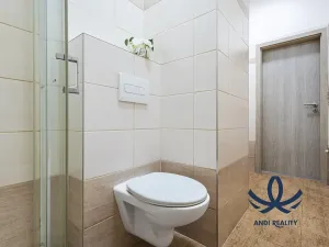 Pronájem bytu 1+1, Milovice, Slepá, 32 m2