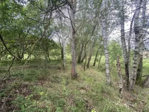 Prodej pozemku, Písečné - Slavětín, 4446 m2