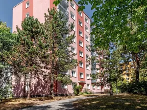 Prodej bytu 3+1, Plzeň, Skupova, 68 m2
