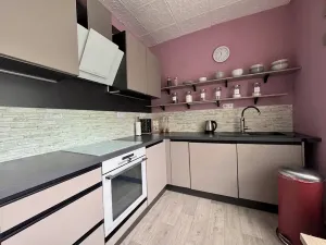 Prodej bytu 2+1, Teplice, Zrenjaninská, 52 m2