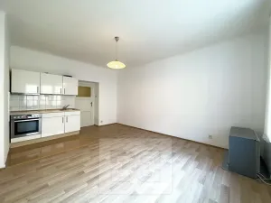 Pronájem bytu 1+kk, Praha - Nusle, Marie Cibulkové, 28 m2