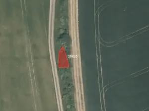 Prodej pole, Skřipel, 31534 m2