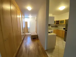 Pronájem bytu 3+1, Praha - Vršovice, Rybalkova, 91 m2