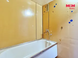 Prodej bytu 1+1, Most, Javorová, 34 m2